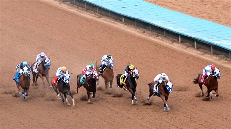 new mexico horse racing betting|New Mexico Horse Racing Betting Sites .